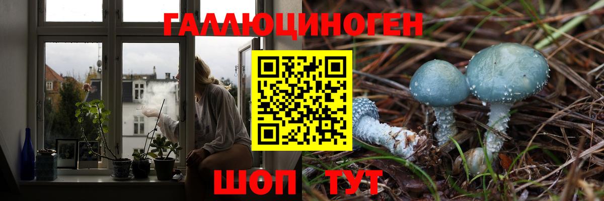 Киреевск  Псилоцибиновые грибы ЛСД  магазин  наркотиков  Галлюциногенные грибы мицелий  Вход с VPN 